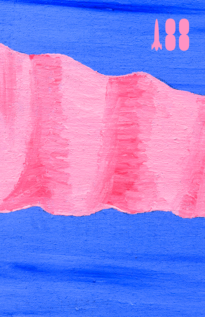 Pink Flag (Ebook)