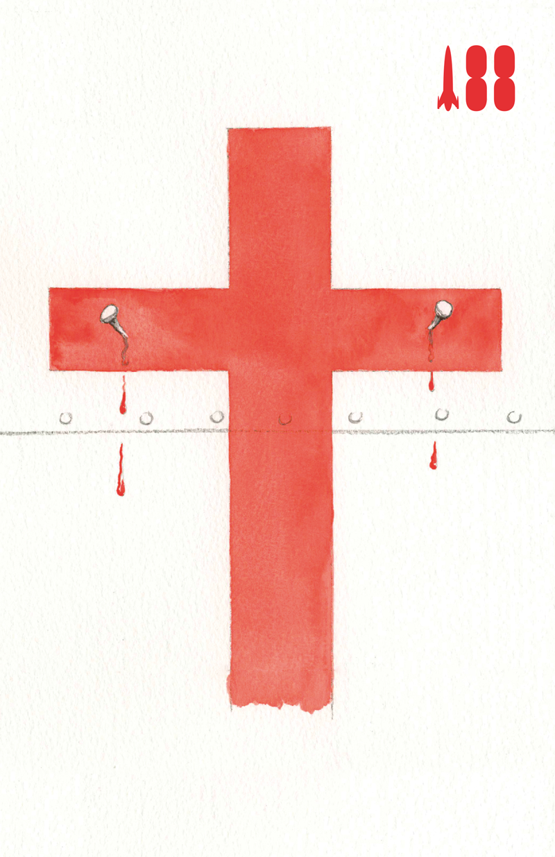 The Hospital Ship (Hardback)